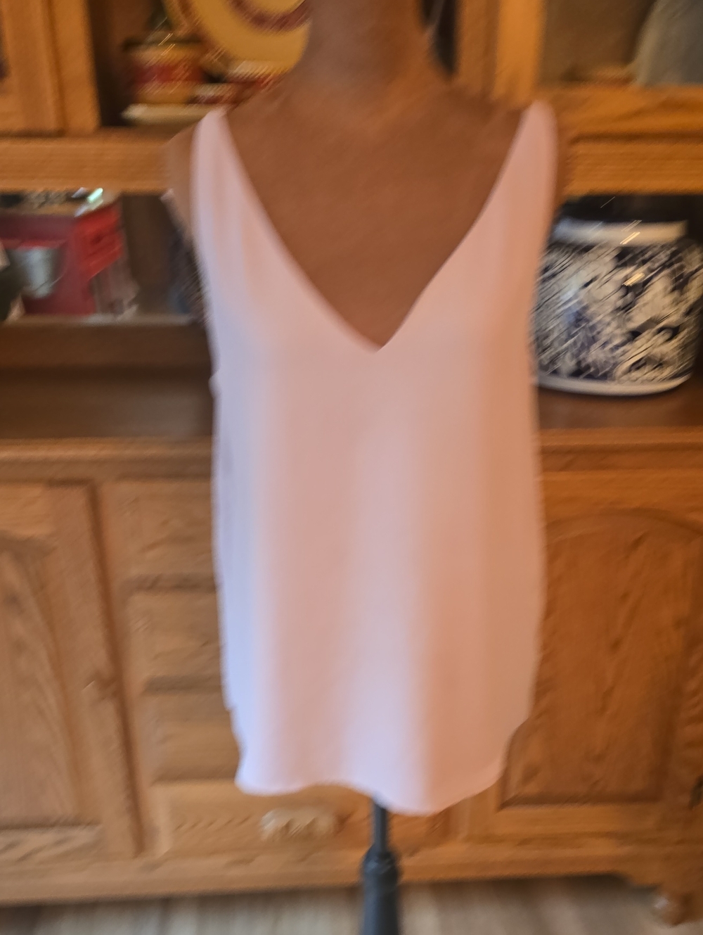 Express Pale Pink V-Neck Slip Chemise
